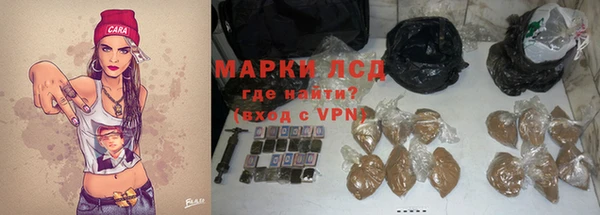 прущие грибы Семикаракорск