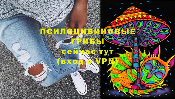 дмт Семилуки